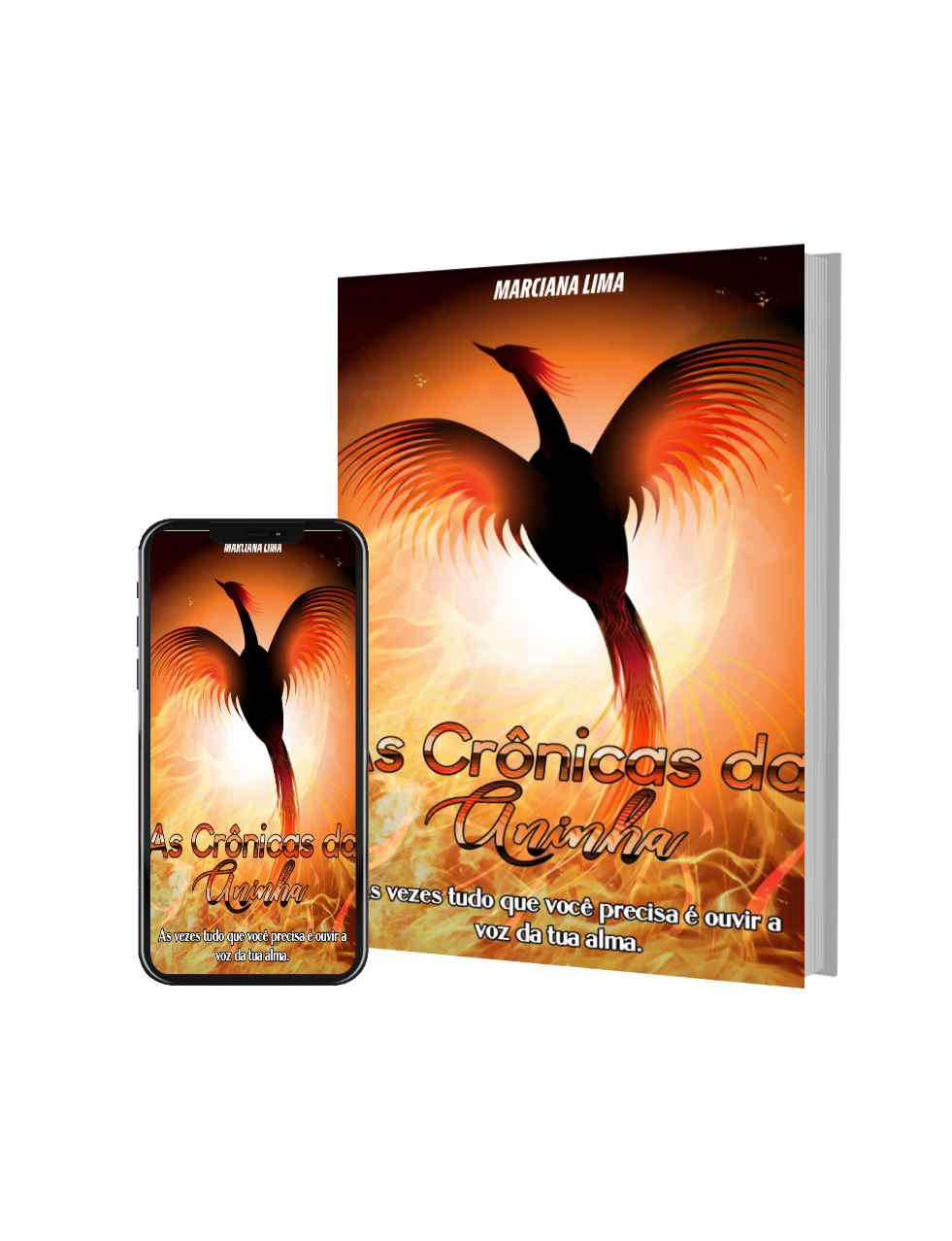 As Crônicas da Aninha